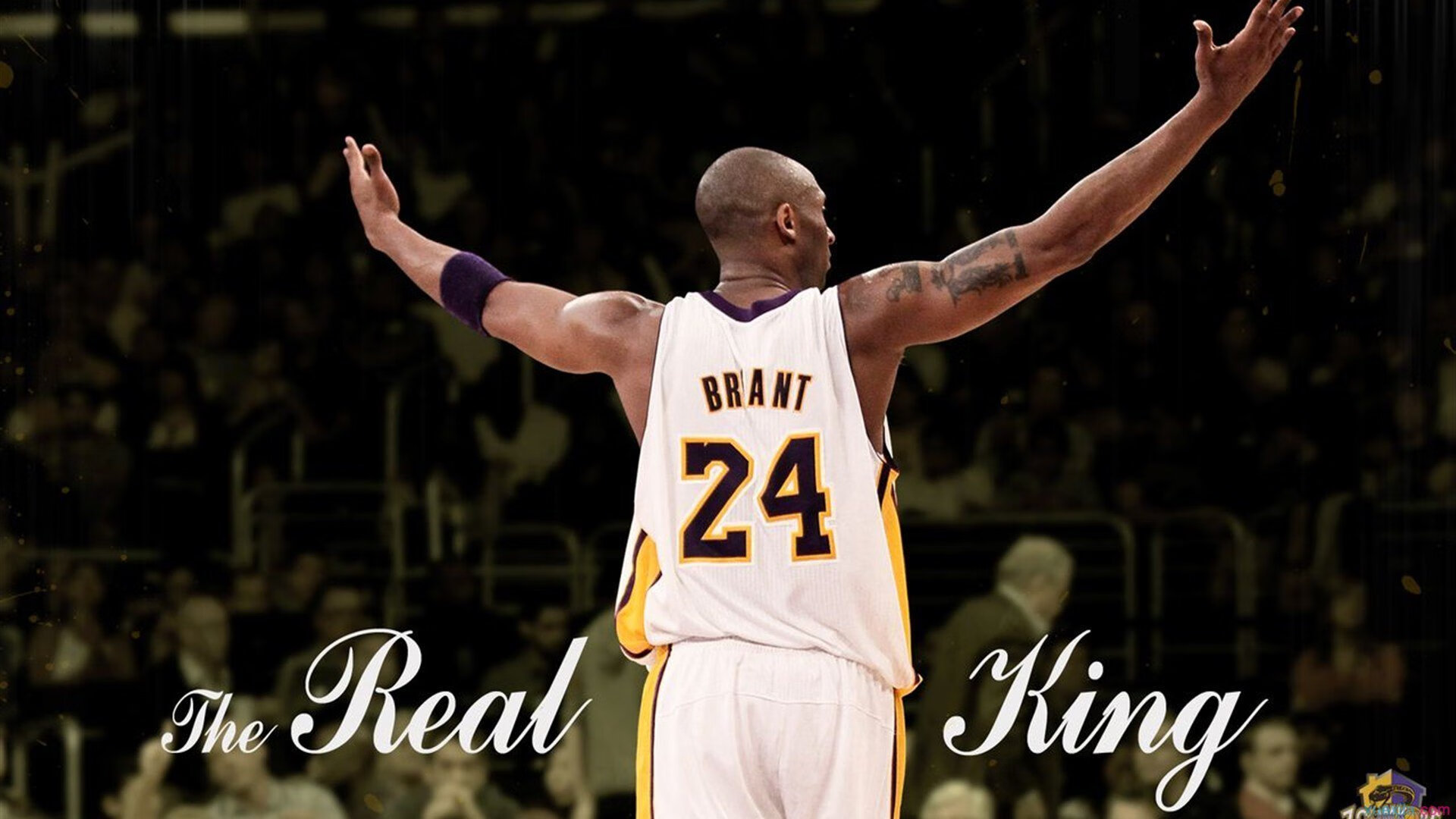 开云官网首页-骑士配合大学研究开展球员营养改善项目  第1张