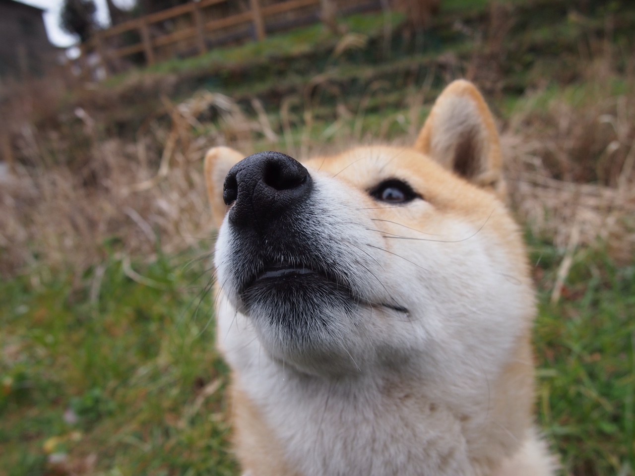 开云电竞-“超强篮下防守:联盟中最具压迫感的防线”,篮下如何对抗
