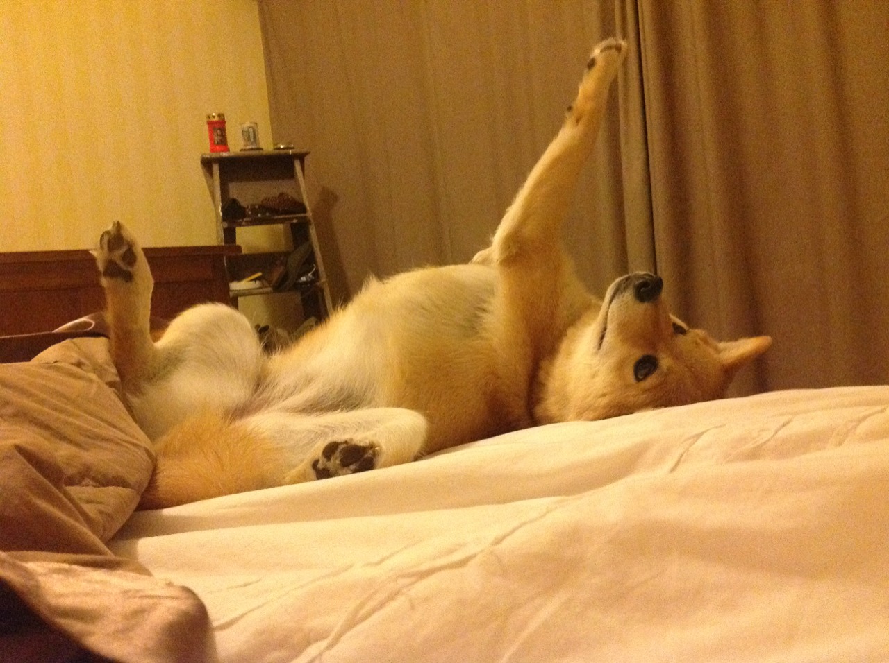 开云官网登录-【冠军历程】马克·塞尔比：从低谷到世界顶尖的心路导航，马克·赛尔比