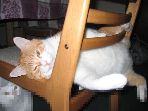 开云体育登录网站入口-九州体育测速_ 意甲豪门搏杀,争夺连续霸主宝座,九州体育赛事直播