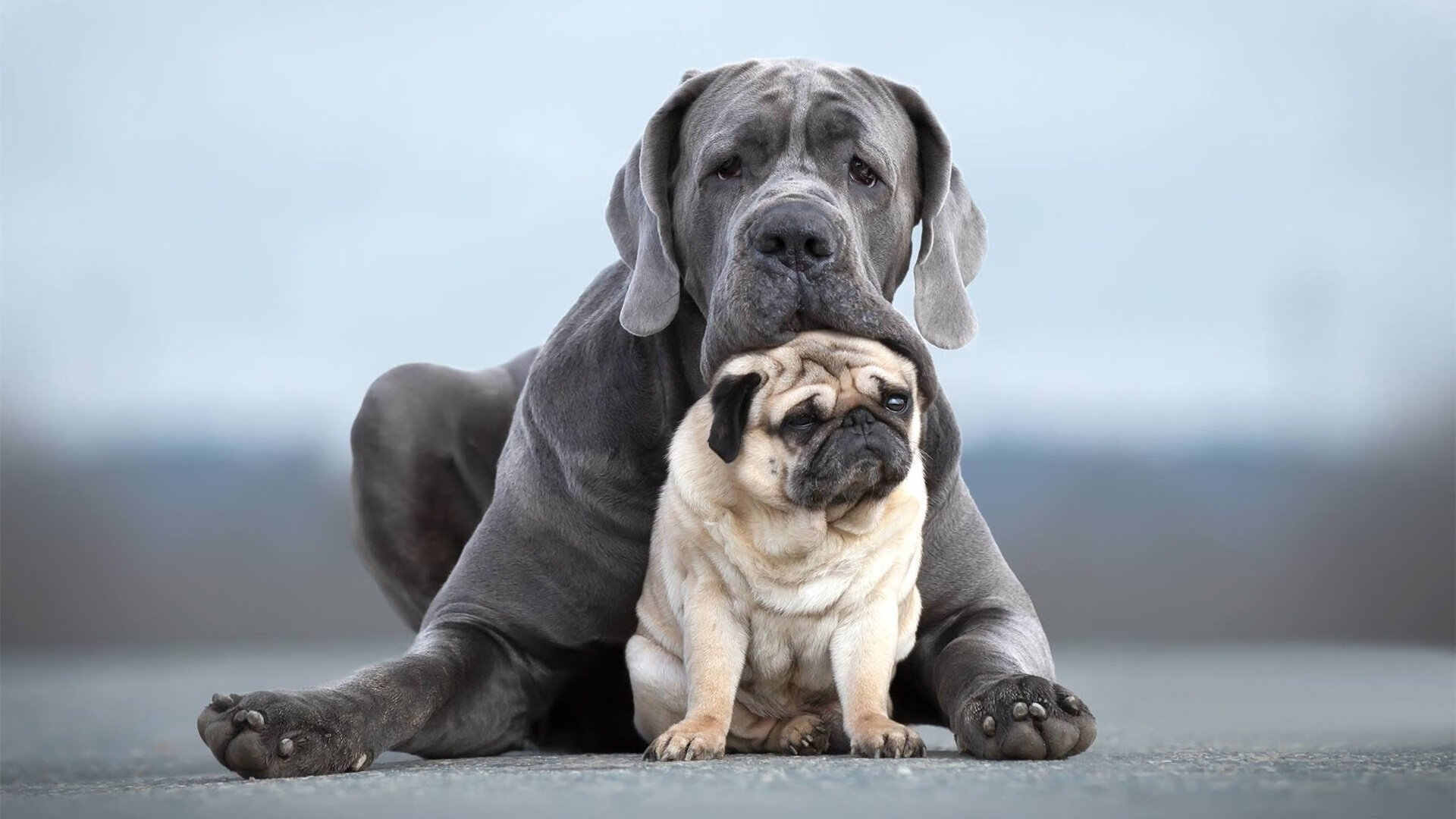 kaiyun 开云体育-库里：从普通少年到MVP的逆袭之路！，库里jswim  第1张