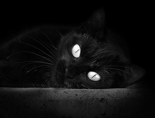 开云体育官方网站登陆-教练的人生哲学：用战术塑造球队精神，教练技术的战神课程